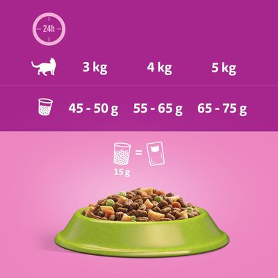 Whiskas 1+ Lamm