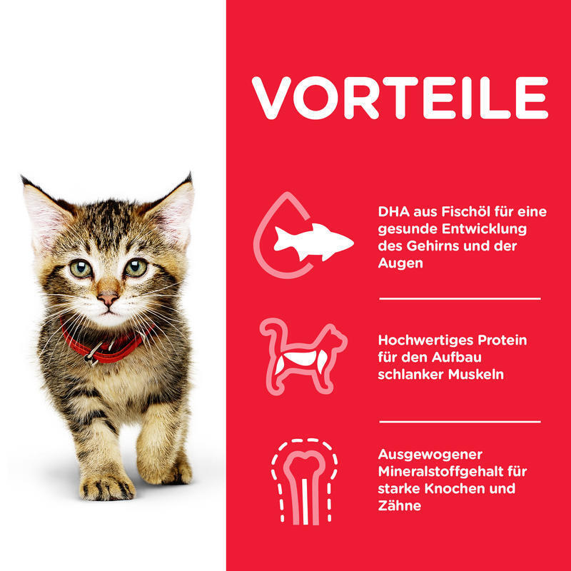 Hill's Trockenfutter Hill's Science Plan Kitten Huhn 1,5 kg