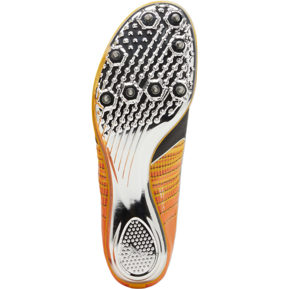 PUMA evoSPEED BRUSH 6 380022-001 / orange