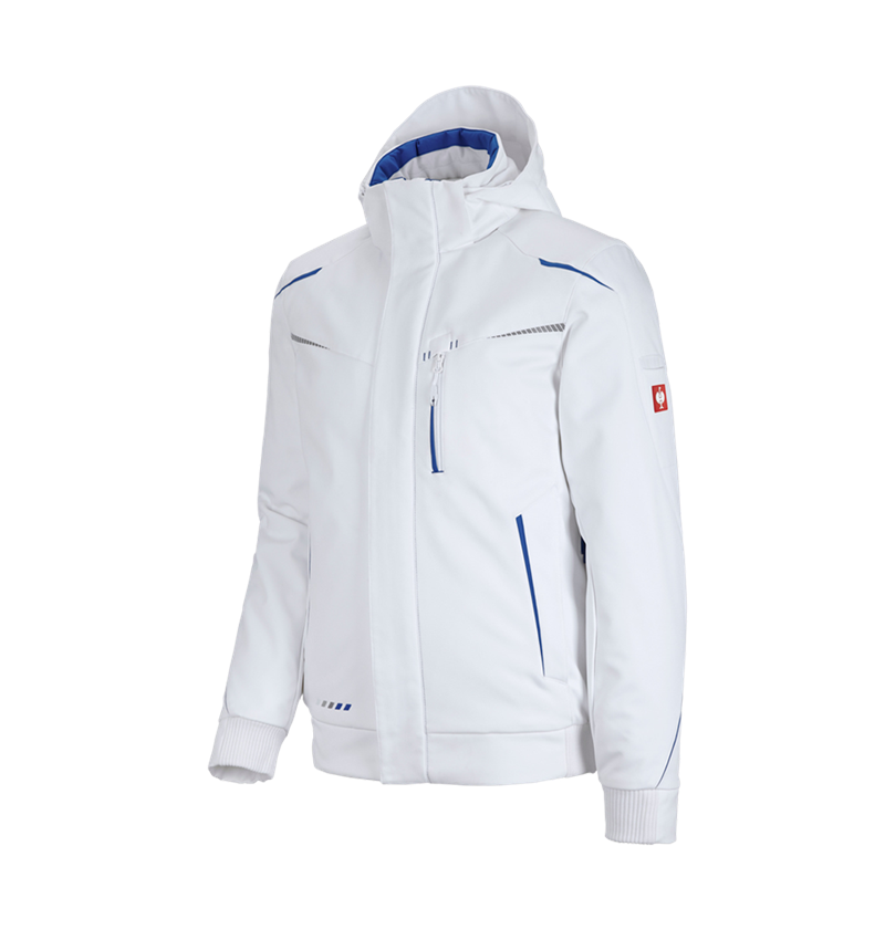 Winter Softshelljacke e.s.motion 2020, Herren