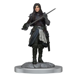 D&D Nolzur's Marvelous Miniatures Miniatur unbemalt Half-Elf Rogue Females (2)