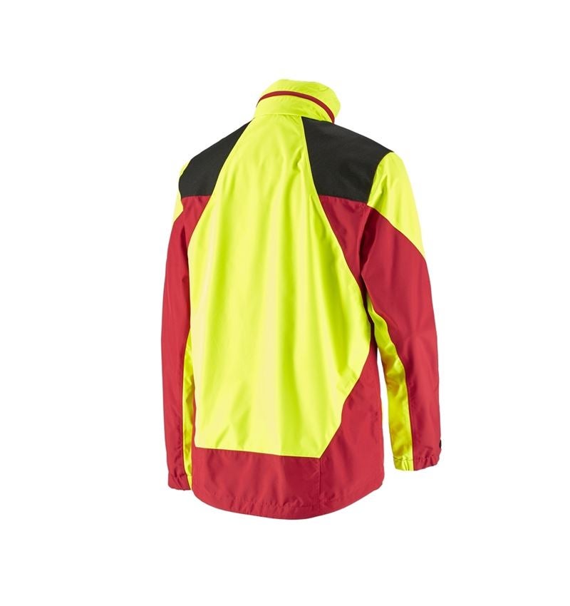 e.s. Forst-Regenjacke