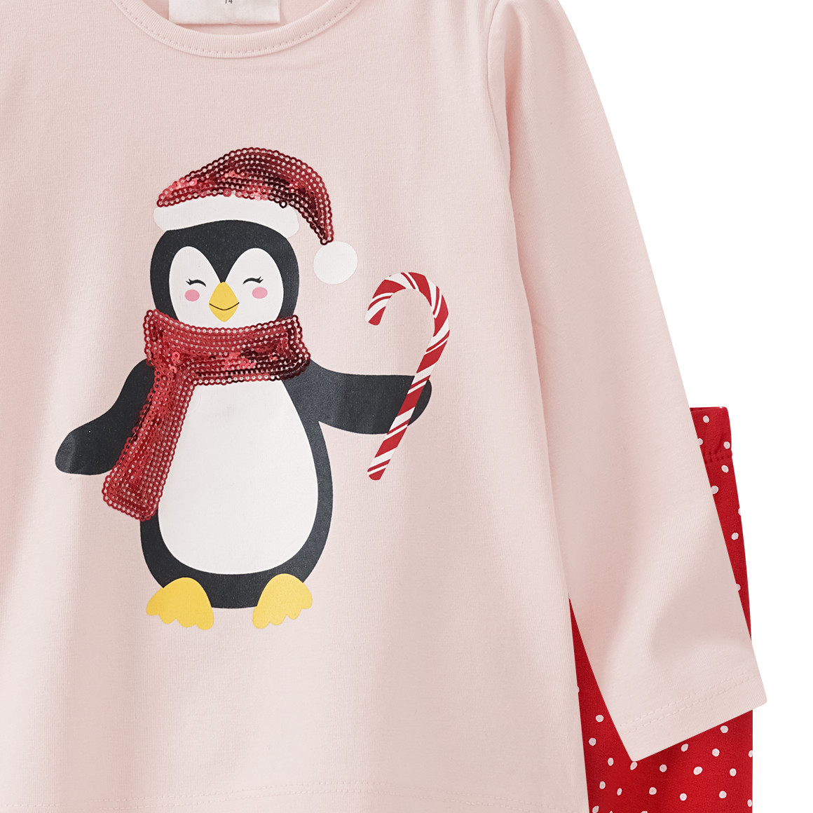 Baby Langarmshirt und Leggings im Set rosa / rot