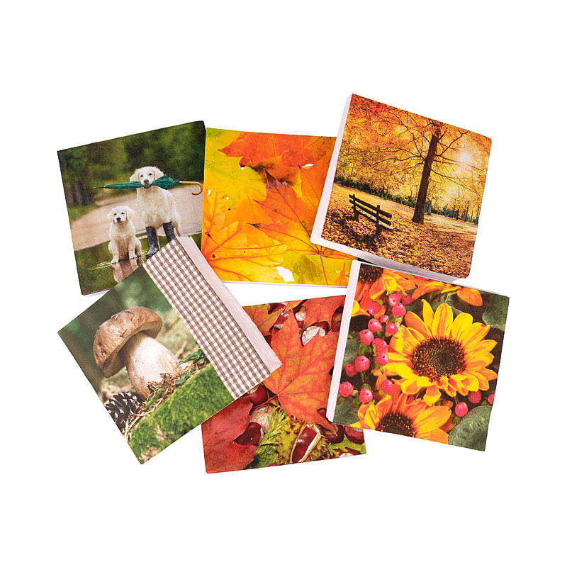 Vie Eco Servietter 20-pk 33x33 cm Høstsesong