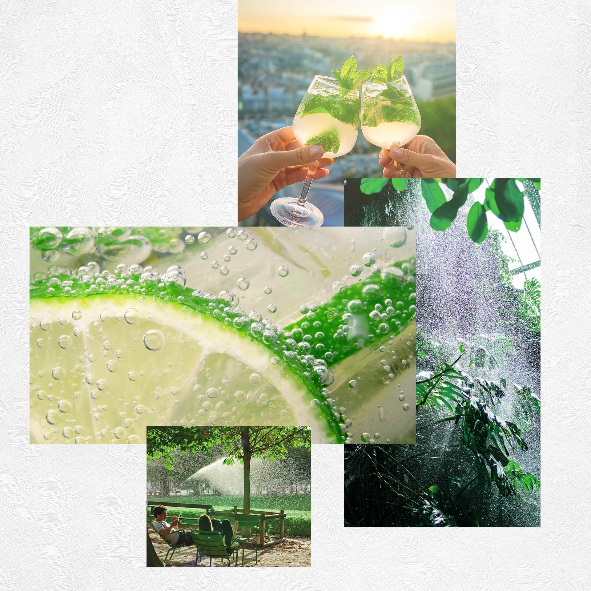 Opus 3 - Shots Of Nature Green Crush - Eau de Parfum Unisex, Eau de Parfum
