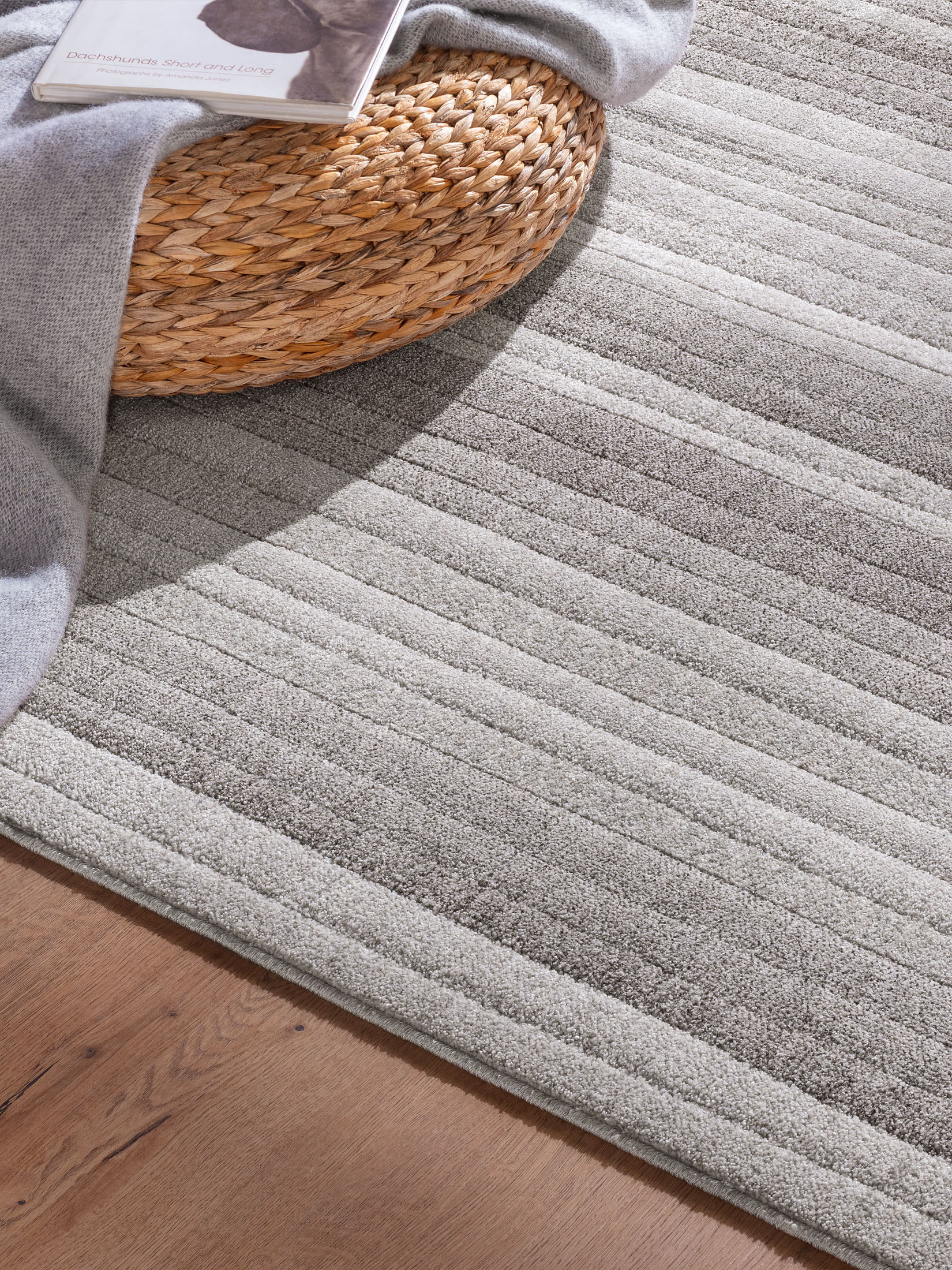 Hillsboro Moderner Teppich, Silbergrau