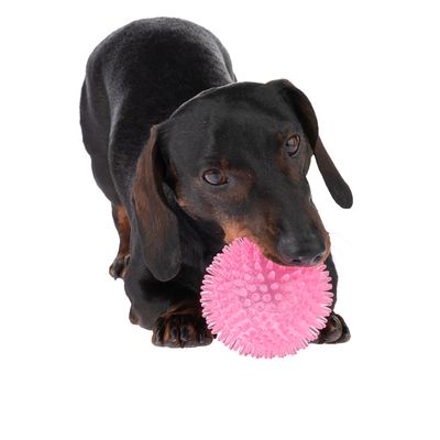 TIAKI Hundespielzeug Stacheliger Ball