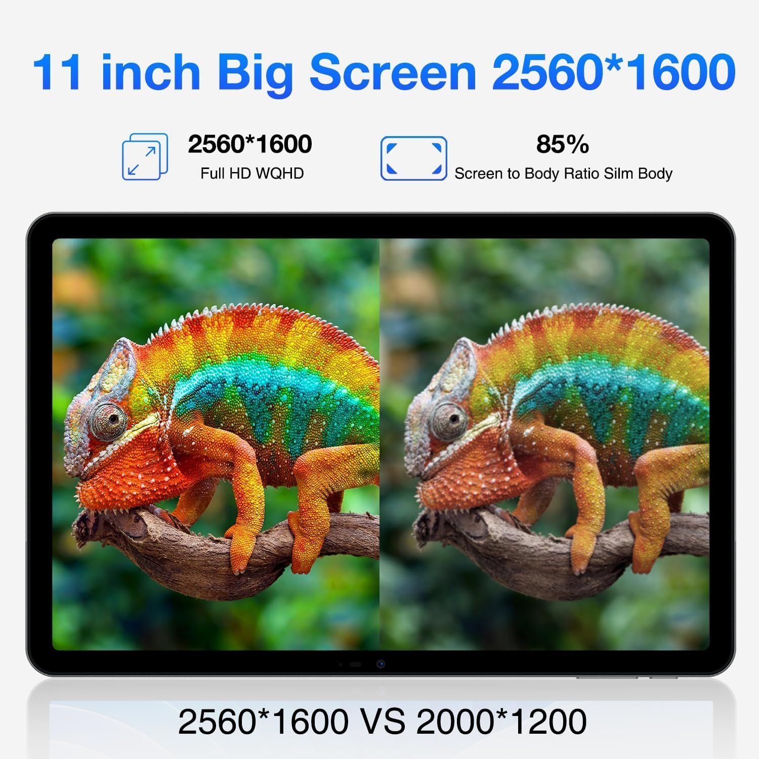 DOOGEE t30 pro Tablet (11