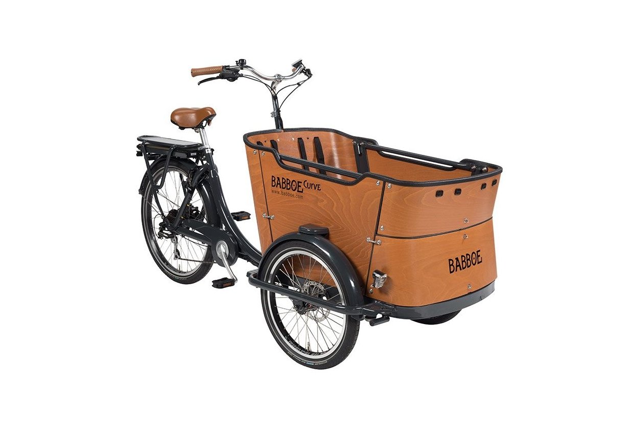 Babboe Schutzrand fu00fcr Curve - 298 cm
