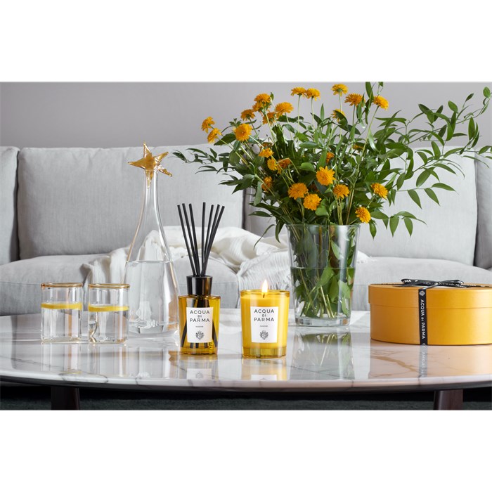 Diffusor Insieme