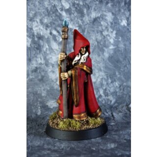 Wood Elf Wizard Anirion