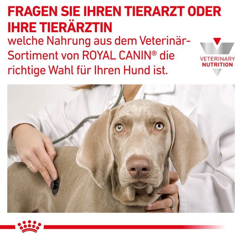 Royal Canin Veterinary Canine Hepatic