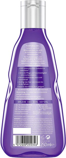 Guhl Silberglanz & Pflege Shampoo