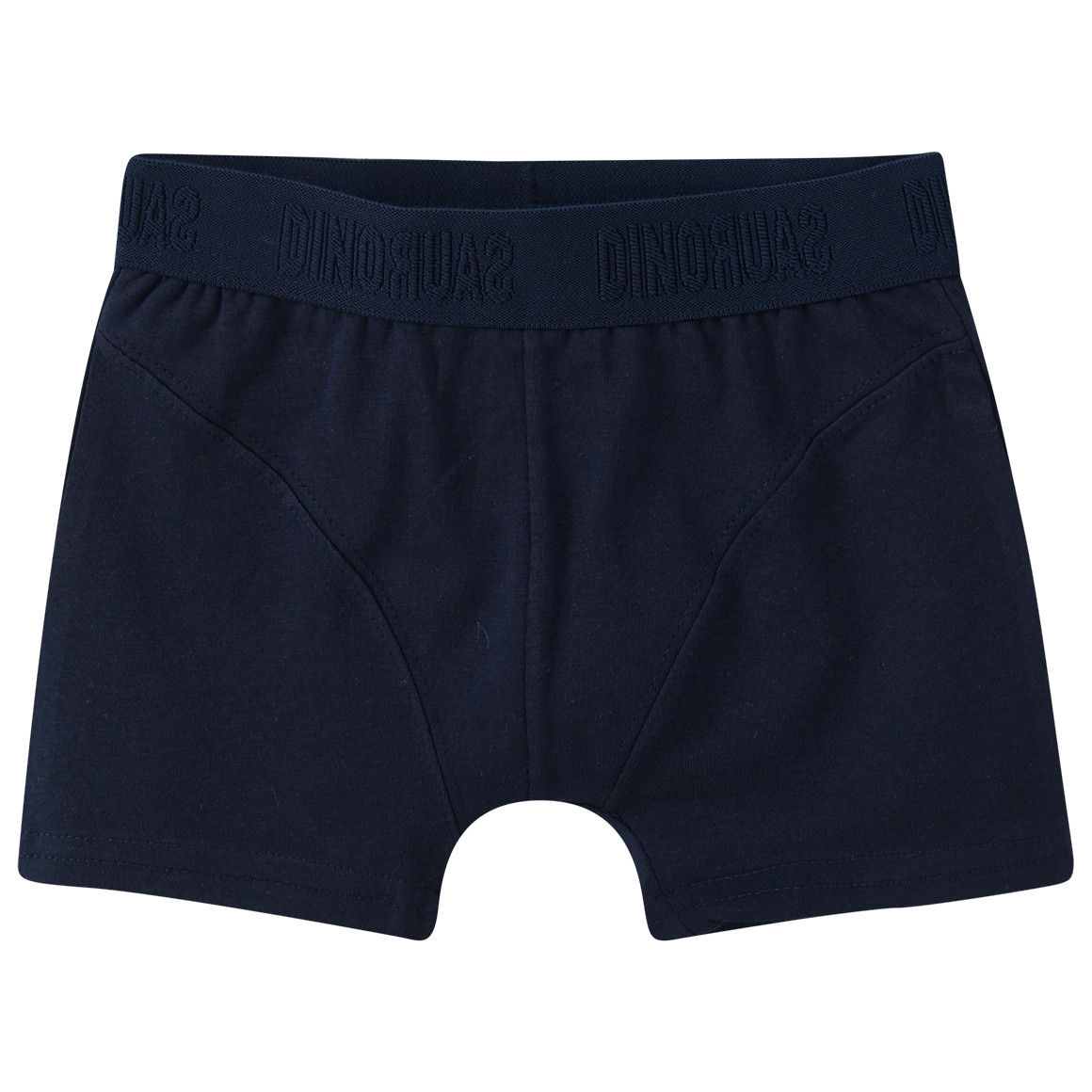 3 Jungen Boxer mit Webbund