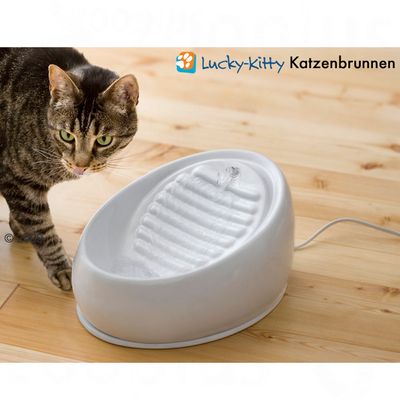 Lucky-Kitty Keramik Trinkbrunnen