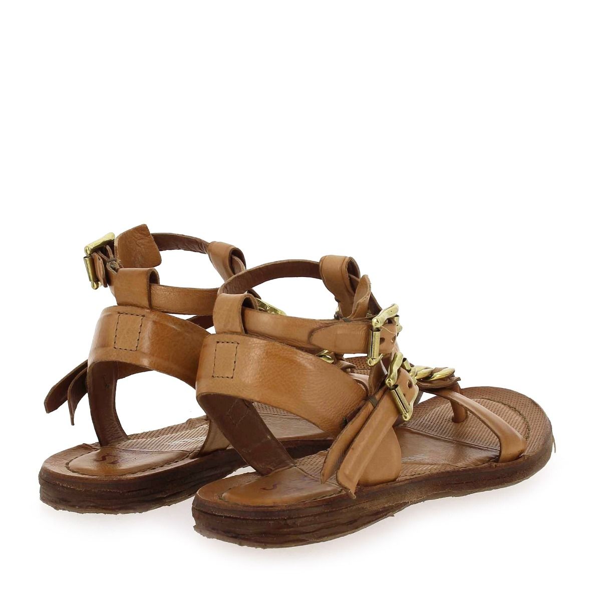 AS98  A16023 - camel