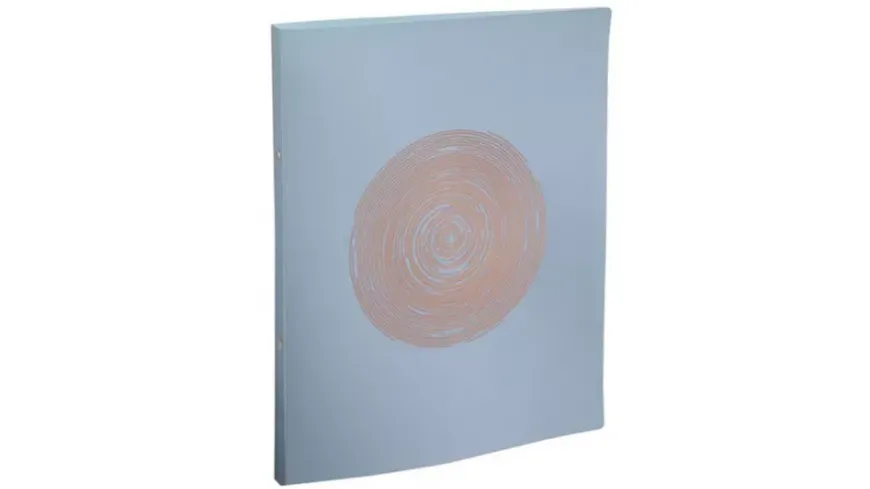 EXACOMPTA Ringbuch Exacompta Ellipse A4 2 Ringe 20 mm sortiert