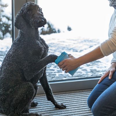 Trixie Pfotenreiniger aus Silikon