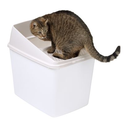Katzentoilette Big Box