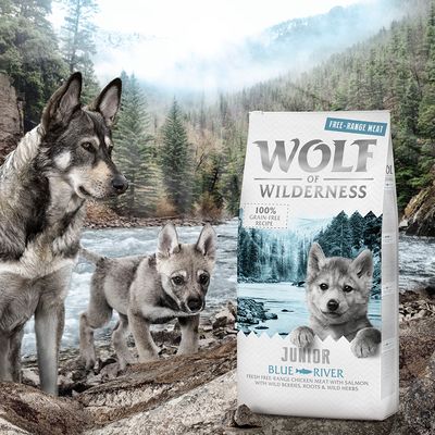2 x 12 kg Wolf of Wilderness Trockenfutter - getreidefrei - mit Freiland-Fleisch