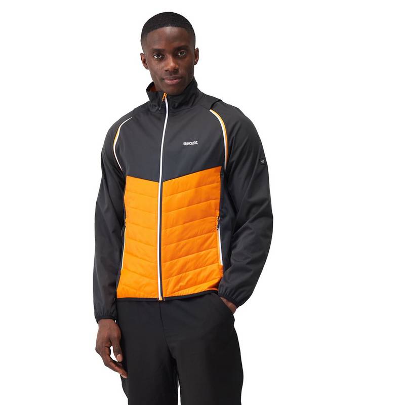 Regatta Steren Funktionsjacke Herren