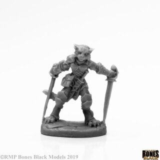 Shadoweyes. Catfolk Rogue