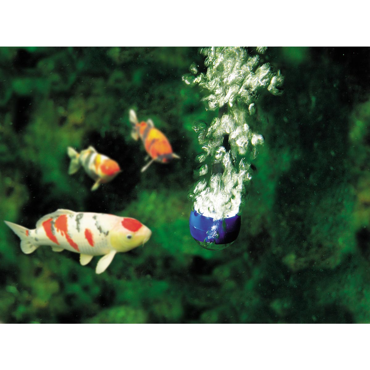 Oase AquaOxy Teichbelüfter günstig kaufen