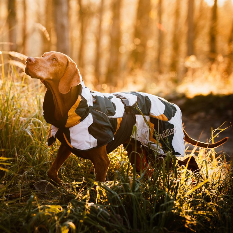 Rukka Stormy Hundemantel, camouflage zu TOP-Preisen | bitiba %