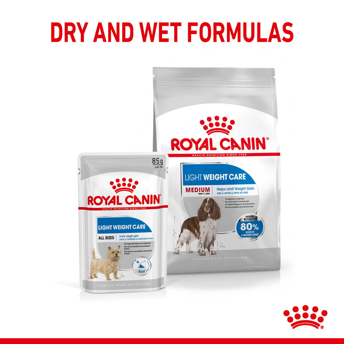 ROYAL CANIN LIGHT WEIGHT CARE MEDIUM Trockenfutter für zu Übergewicht neigenden Hunden