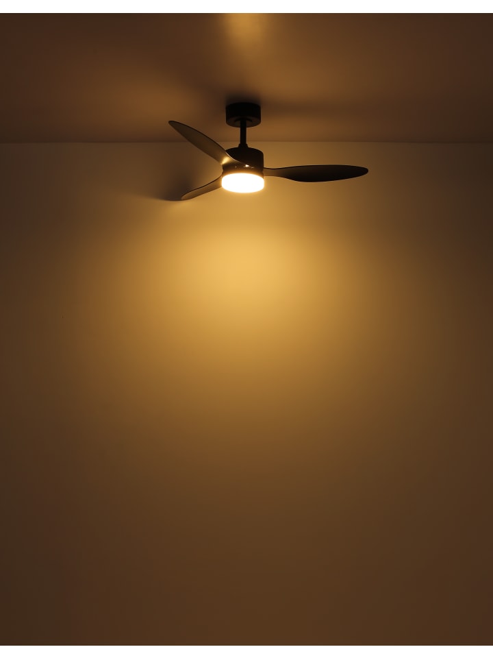 Globo lighting Deckenventilator 