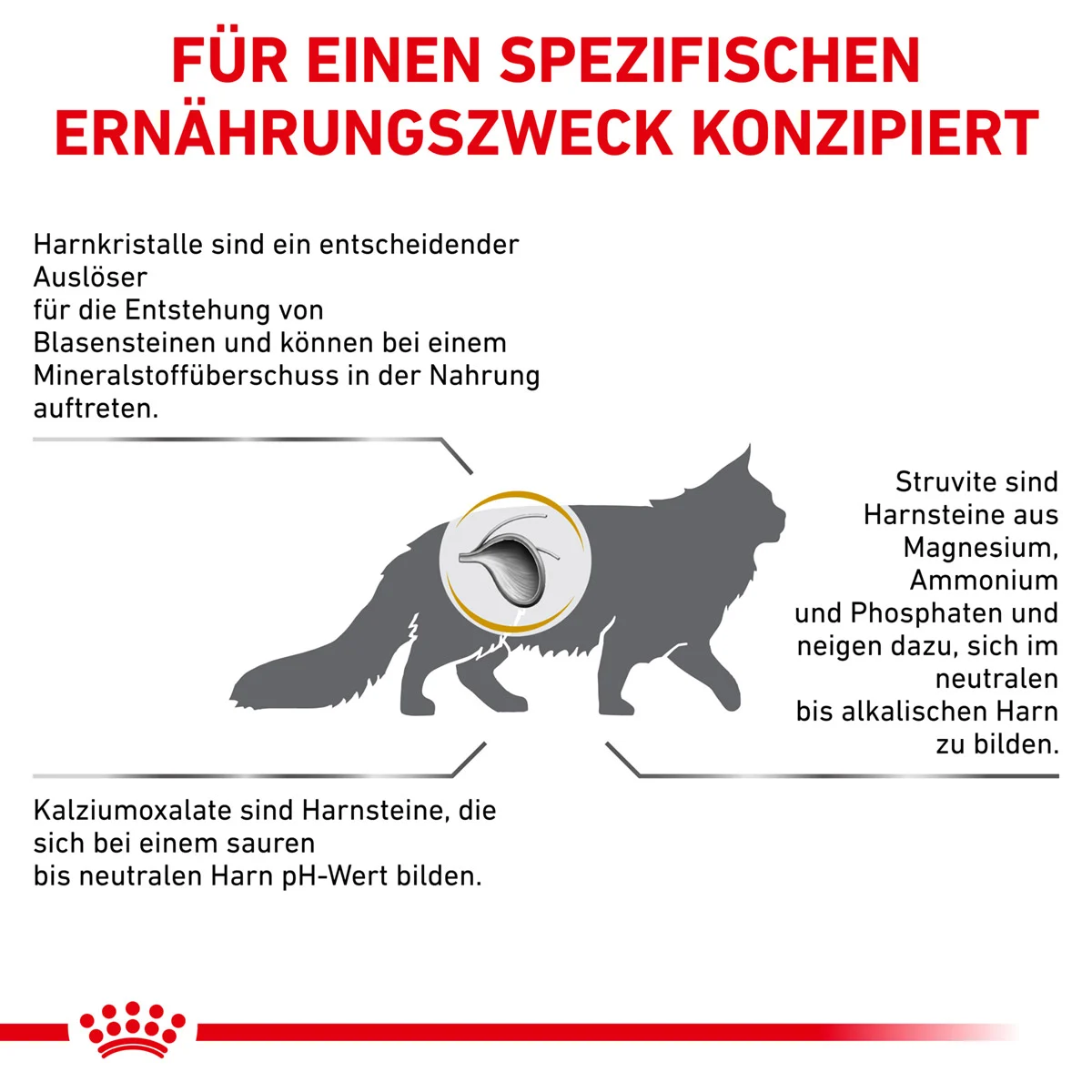 ROYAL CANIN Veterinary URINARY S/O Trockenfutter für Katzen