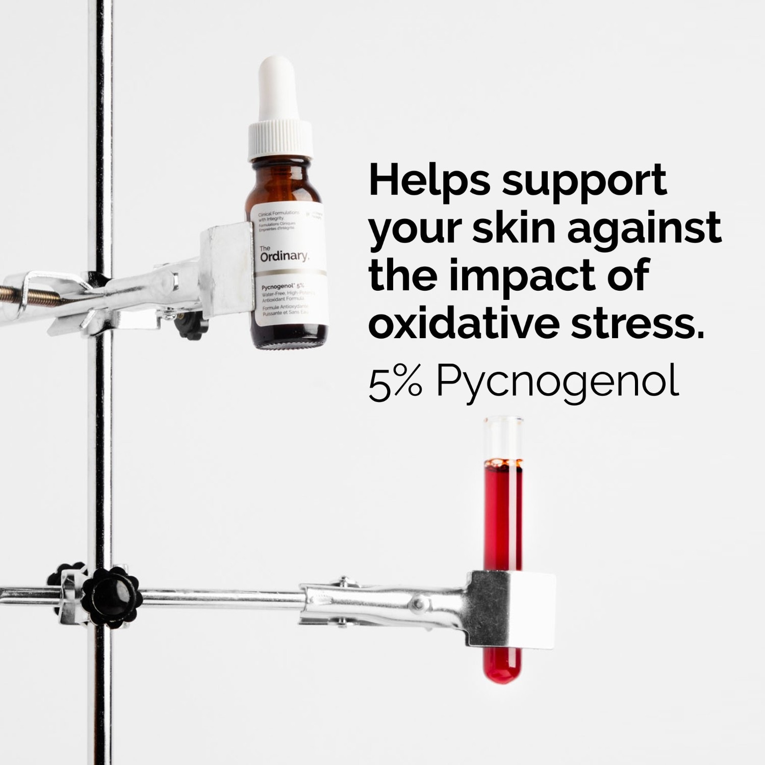 The Ordinary Pycnogenol* 5%