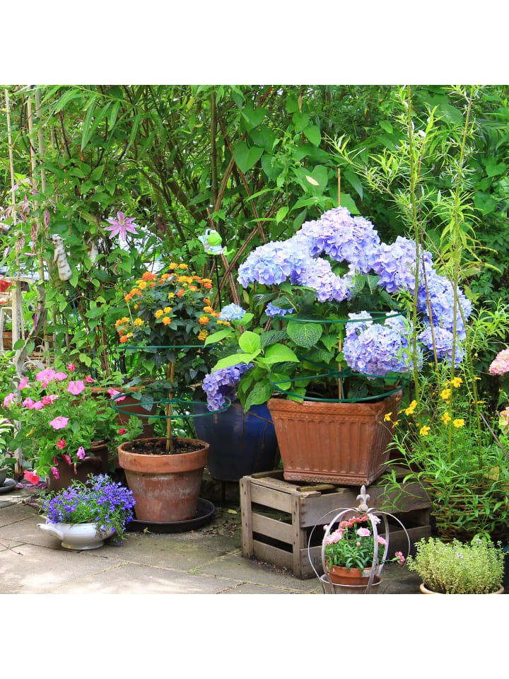 relaxdays 6 x Staudenringe in Dunkelgrün - (D)39 cm günstig kaufen onesize