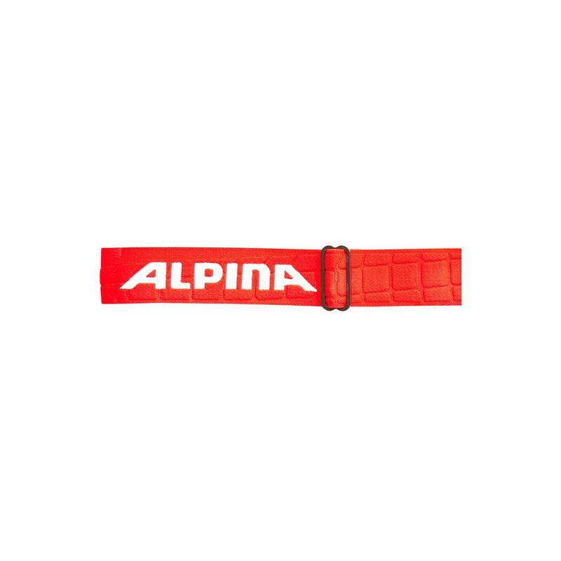 ALPINA FREESPIRIT DH Skibrille