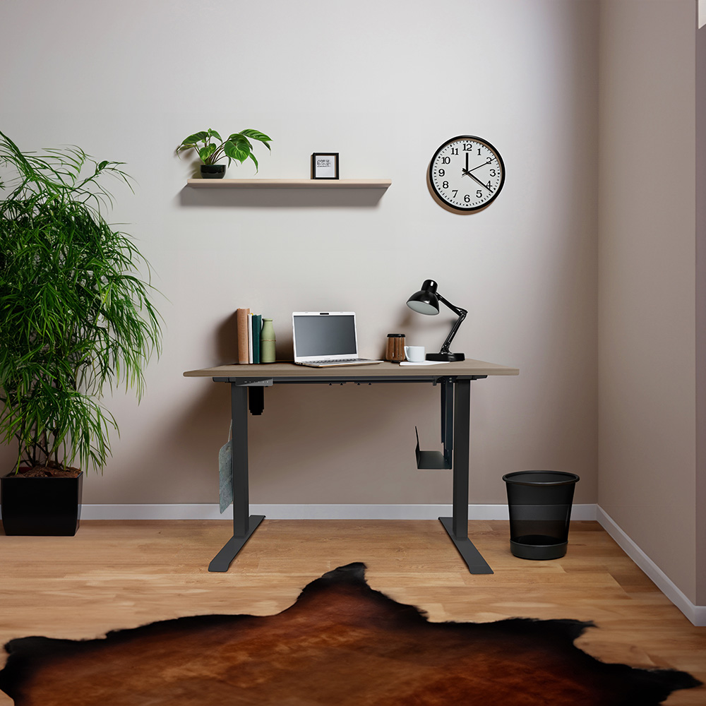 Home Deluxe HOME DELUXE Höhenverstellbarer Schreibtisch elektrisch LUMINA mit PC-Halterung - 120 x 60 cm Eiche