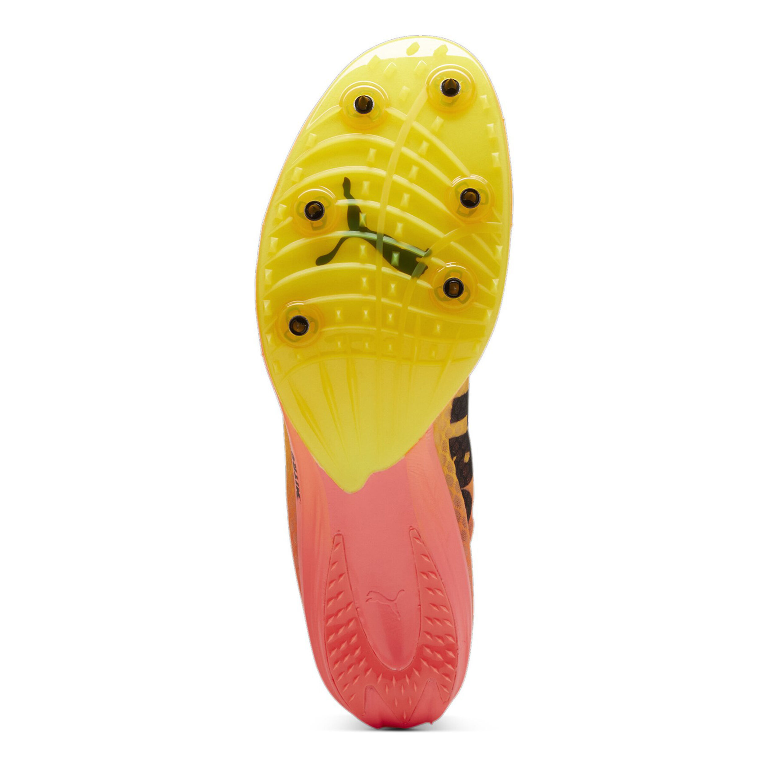 EvoSPEED Distance Nitro Elite+ 4 Spikeschuh - Orange, Schwarz