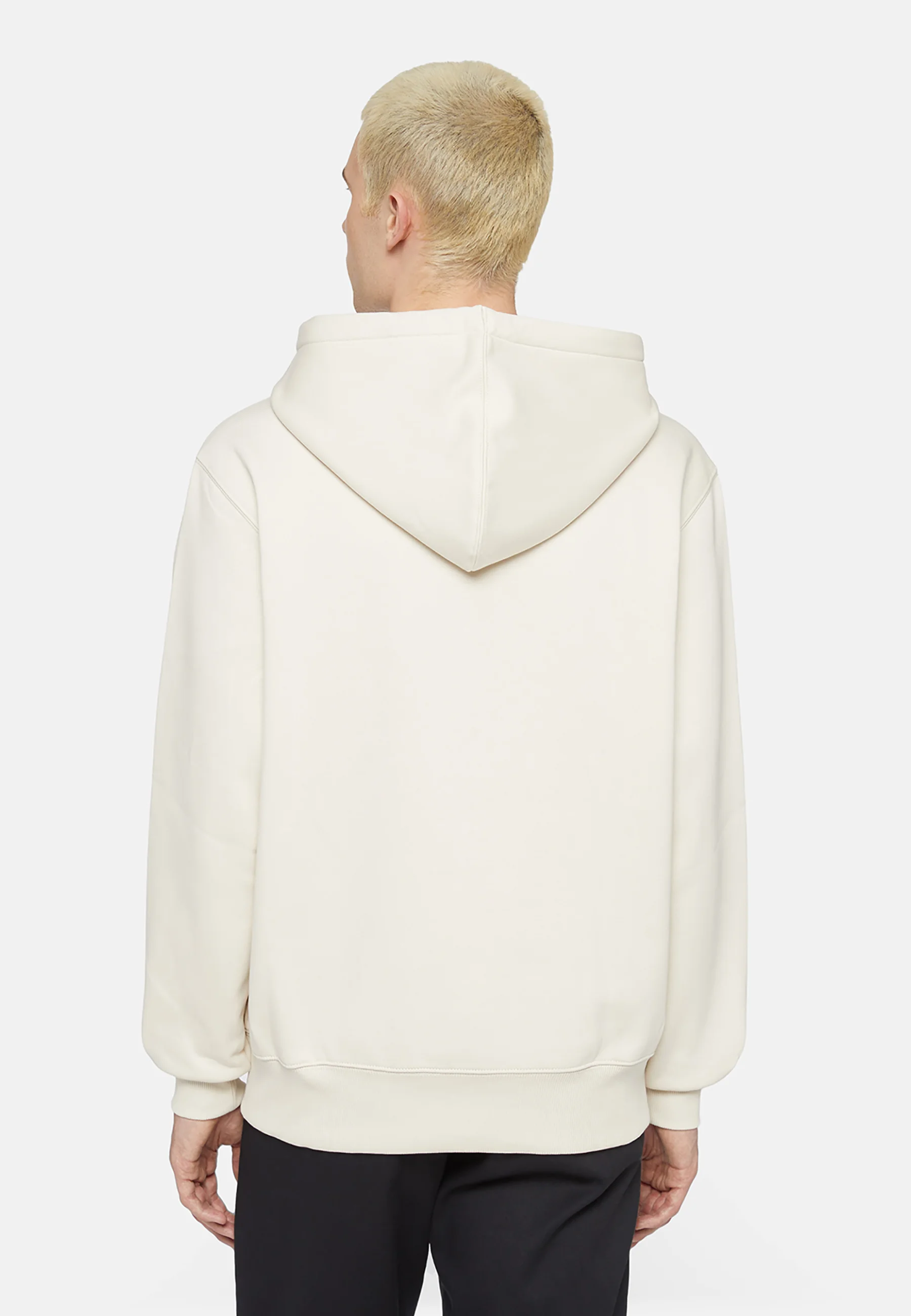 Sudadera con capucha Dickies PARK HOODIE