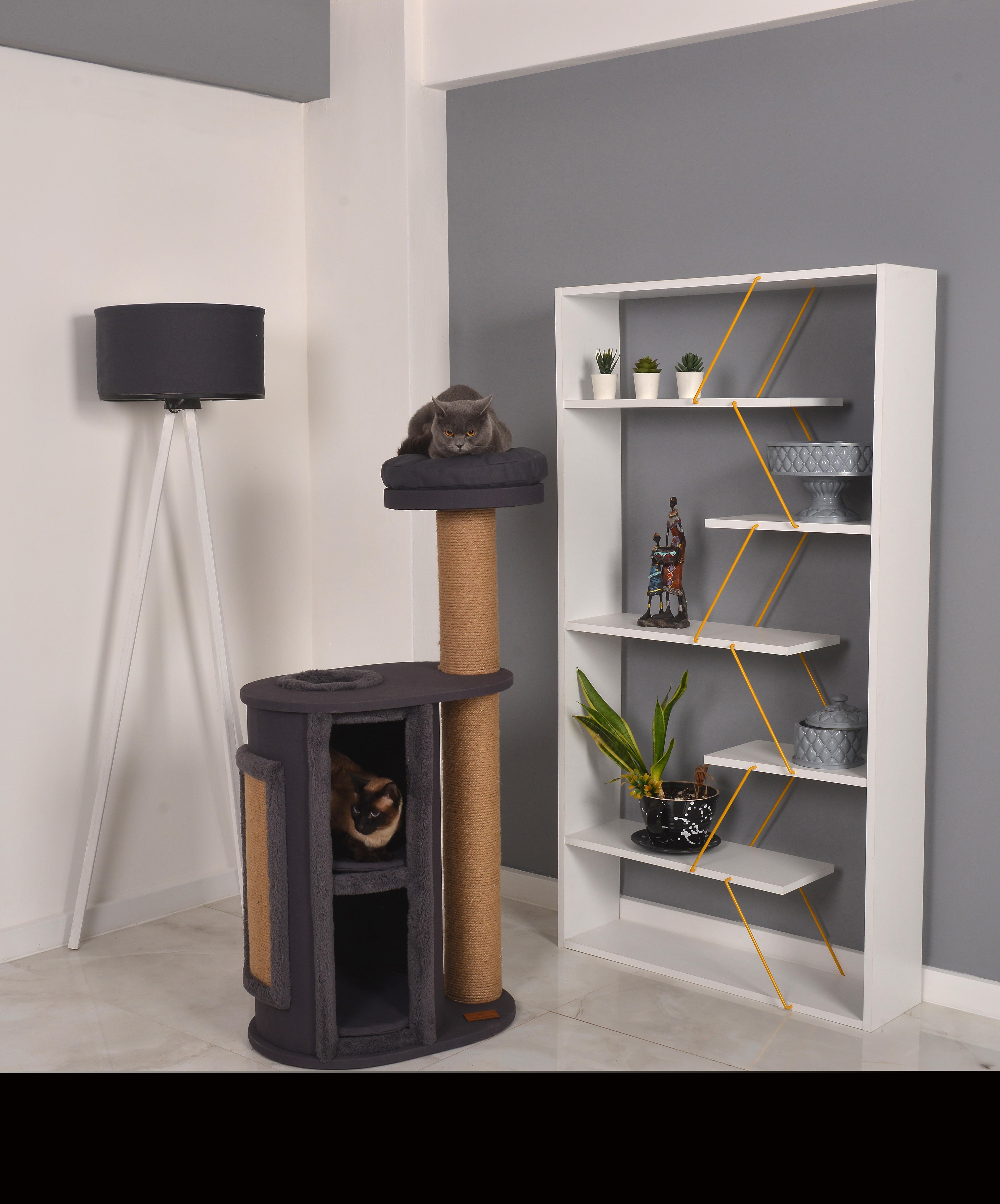 Petliving Kratzbäume Petliving Kratzbaum Louis anthrazit