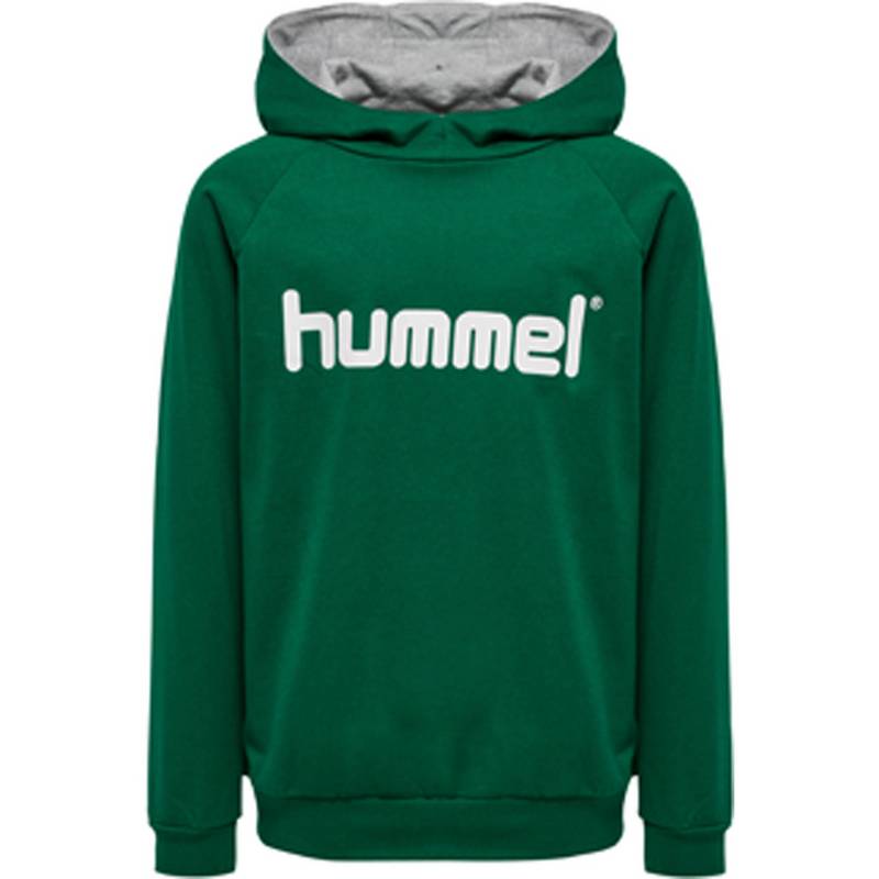 hummel HMLGO KIDS COTTON LOGO HOODIE Hoodie Kinder