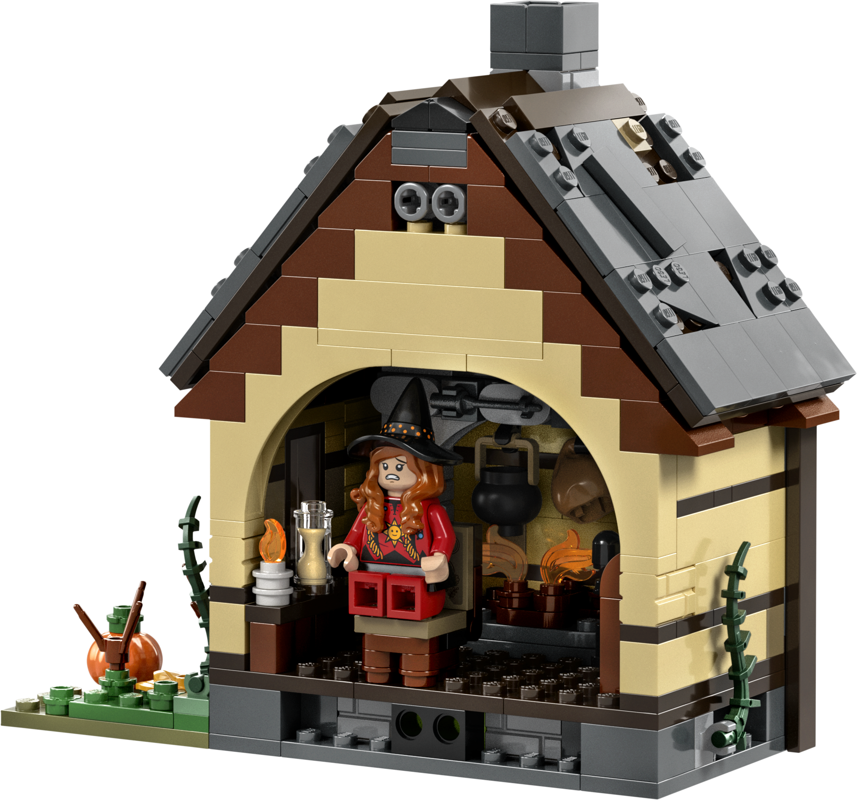 Hocus Pocus Disney : le manoir des sœurs Sanderson 21341