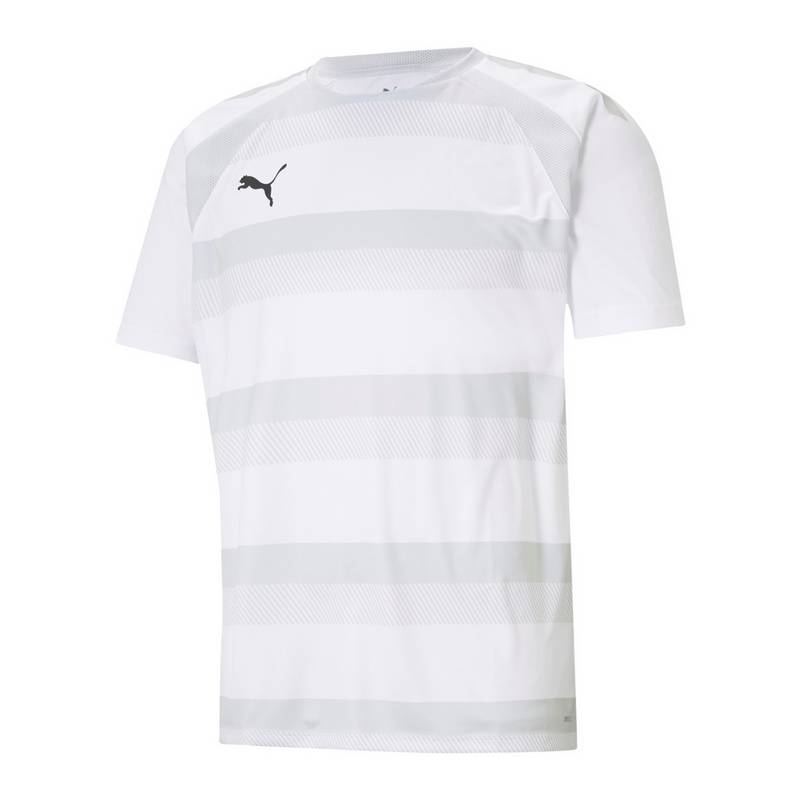 PUMA teamVISION Trikot Trikot Herren