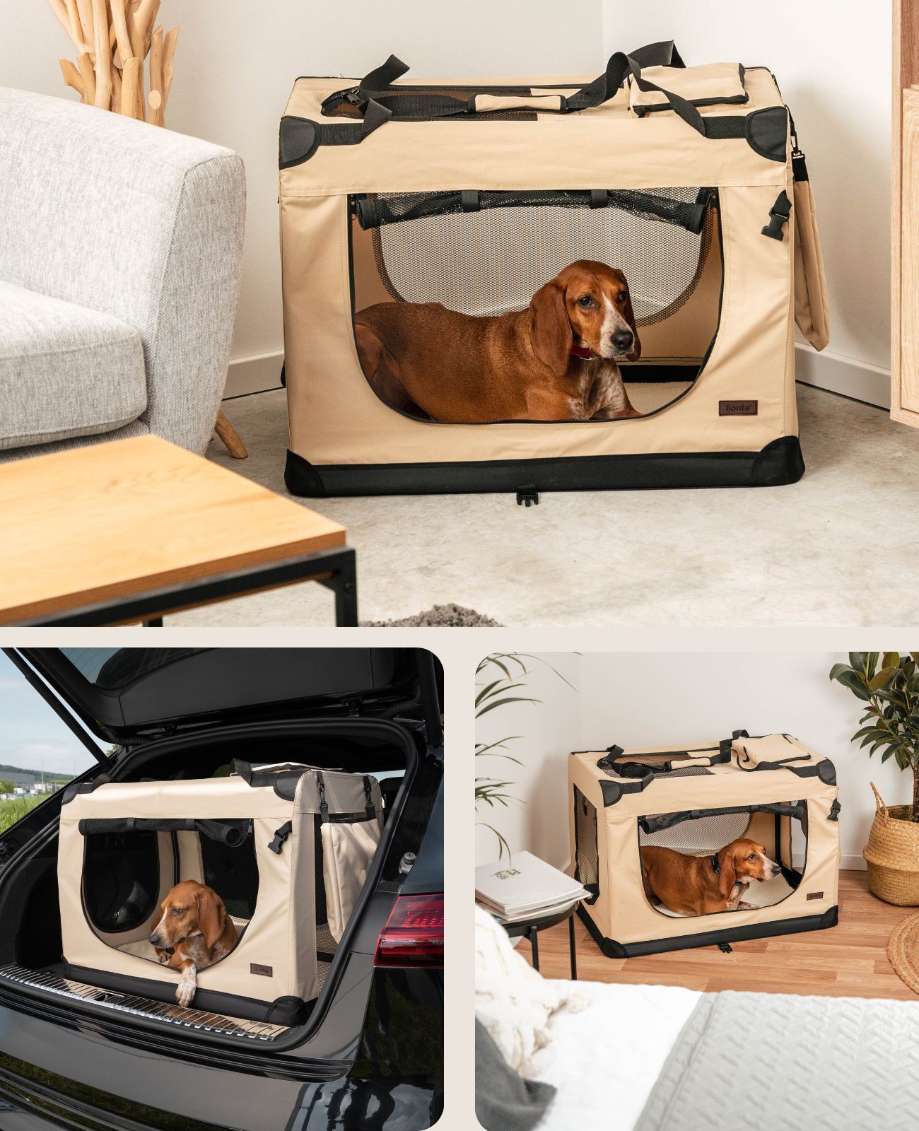 Lionto Transportboxen & Gitterboxen Lionto Hundetransportbox - faltbar - beige XL
