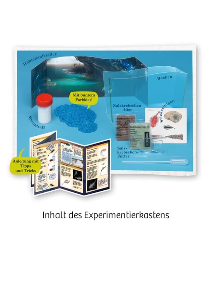 Kosmos Experimentierset Fun Science Wuselnde Salzkrebse, 8-12 Jahre günstig kaufen onesize
