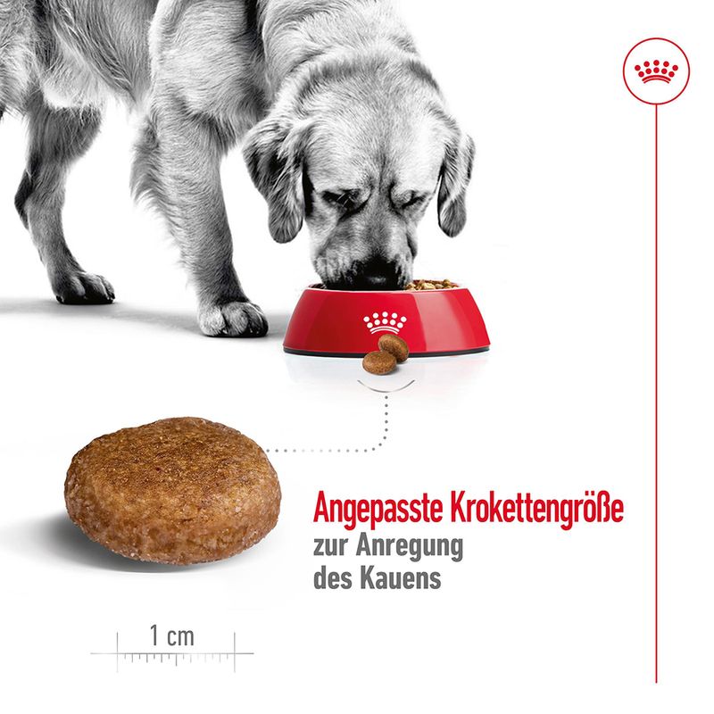Royal Canin Maxi Adult 5+
