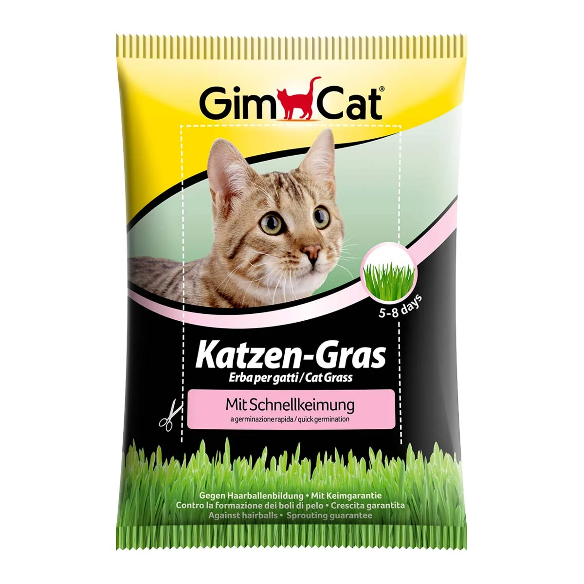 GimCat Katzengras mit Schnellkeimung günstig kaufen