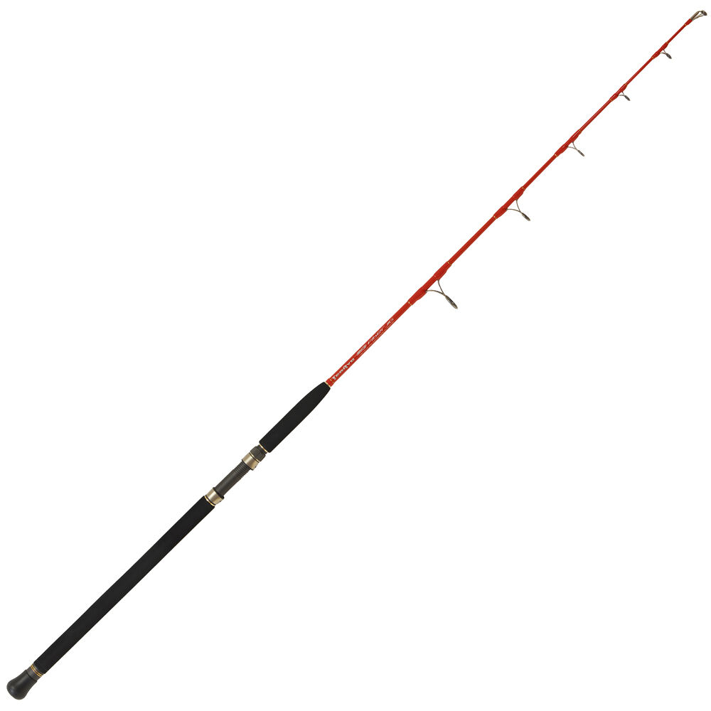 Canne jig mer tenryu big fiber jig 1.64m 50-80lb