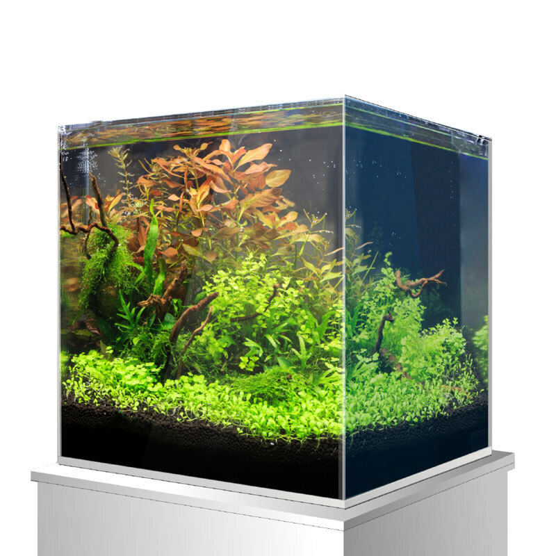 Amtra Nano-Aquarien Amtra Nanoscaping Weisglassbecken 25 l