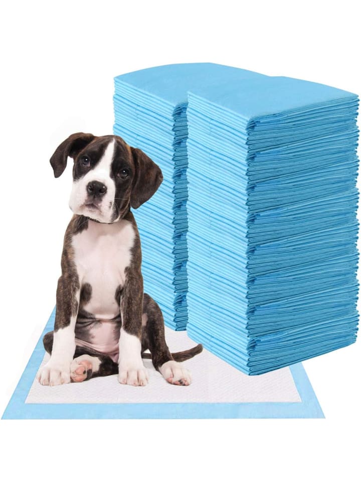 COSTWAY 150 Stk. 90x60cm Trainingsunterlagen in Blau günstig kaufen onesize