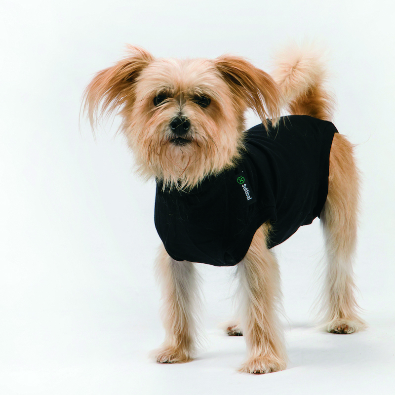 Trovet Hundepullover Trovet Hundebody Recovery Suit schwarz XXS