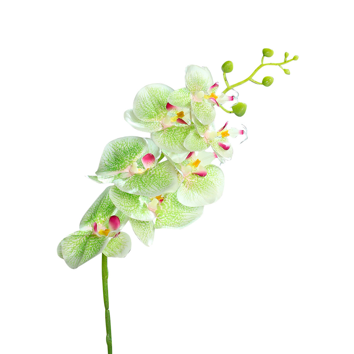 DPIOrchideenzweig 83cm